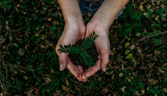 How to Be Sustainable in Your Everyday Life